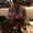 Photo of Cheresa S.