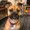 Photo of Snarls B.