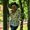 Photo of Janette D.
