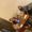Photo of Heriberto M.
