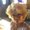 Photo of Beckie R.