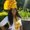 Photo of Chantille O.