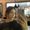 Photo of Mariel A.