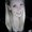 Photo of cindy d.