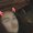Photo of Lizelle P.
