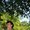 Photo of Qype User (Anjan…)