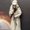 Photo of Fester P.