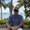 Photo of Scott S.