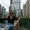 Photo of Katey H.