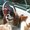 Photo of Sherry G.