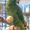 Photo of Princess M.