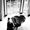 Photo of Yina H.