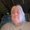Photo of Ken K.