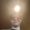 Photo of Payton S.