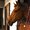 Photo of Horse H.