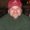 Photo of Toby F.