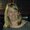 Photo of Kris H.