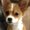 Photo of Rusty M.