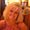 Photo of Judy B.