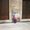 Photo of Madiha K.