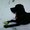 Photo of Qype User (vespaE…)
