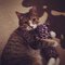 Larry C. profile picture