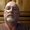 Photo of Robert A.