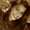 Photo of Emily T.