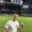 Photo of Coach H.