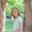 Photo of Johna R.