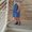Photo of Tina M.