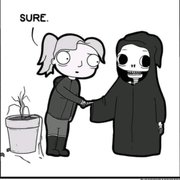 google avatar