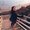 Photo of Nubia M.