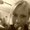 Photo of Courtney S.