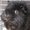 Photo of Loti B.