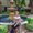 Photo of Linda S.