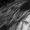 Photo of Me O.