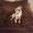 Photo of Daisy Duke J.