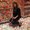 Photo of Amanda B.