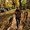 Photo of Jennifer J.