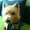 Photo of Qype User (cyt…)