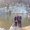 Photo of Rusia L.