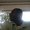 Photo of Wiliam G.