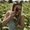 Photo of Sarah M.