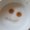 Photo of M M.