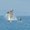 Photo of Mark Z.
