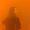 Photo of Jenny H.