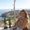 Photo of Caitlin R.