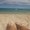 Photo of Summer V.