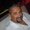 Photo of Arnaldo F.